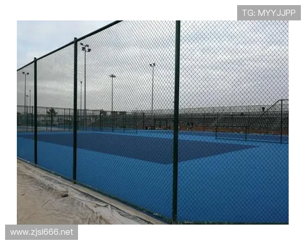 企业体育联赛项目（体育公司赛事运营指南）sports